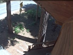 view from Tahoe Woods on 2025-06-10