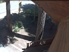 view from Tahoe Woods on 2025-06-17