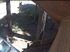 view from Tahoe Woods on 2025-07-05
