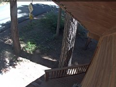 view from Tahoe Woods on 2026-07-31