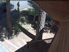 view from Tahoe Woods on 2026-08-02