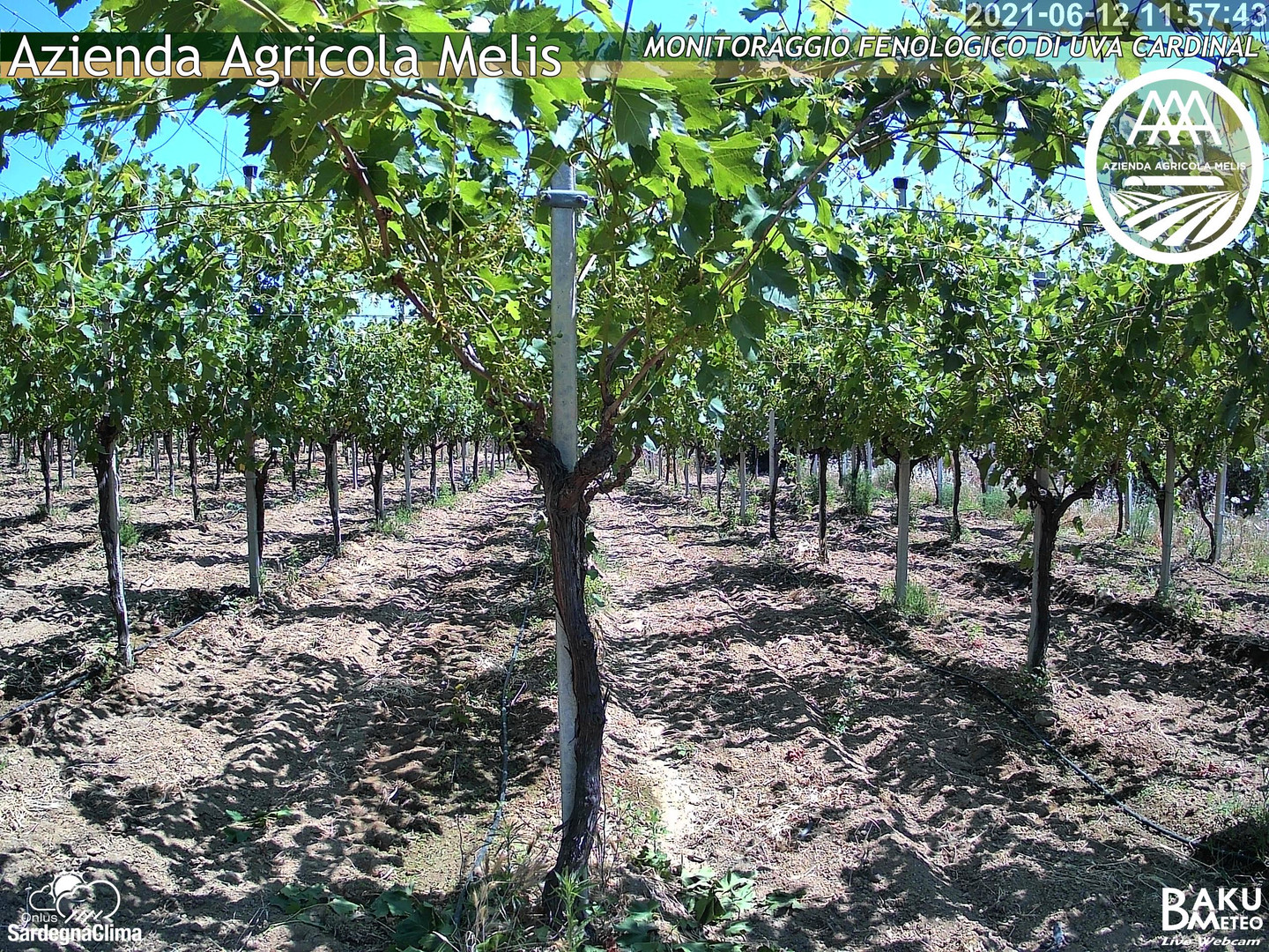 time-lapse frame,  webcam