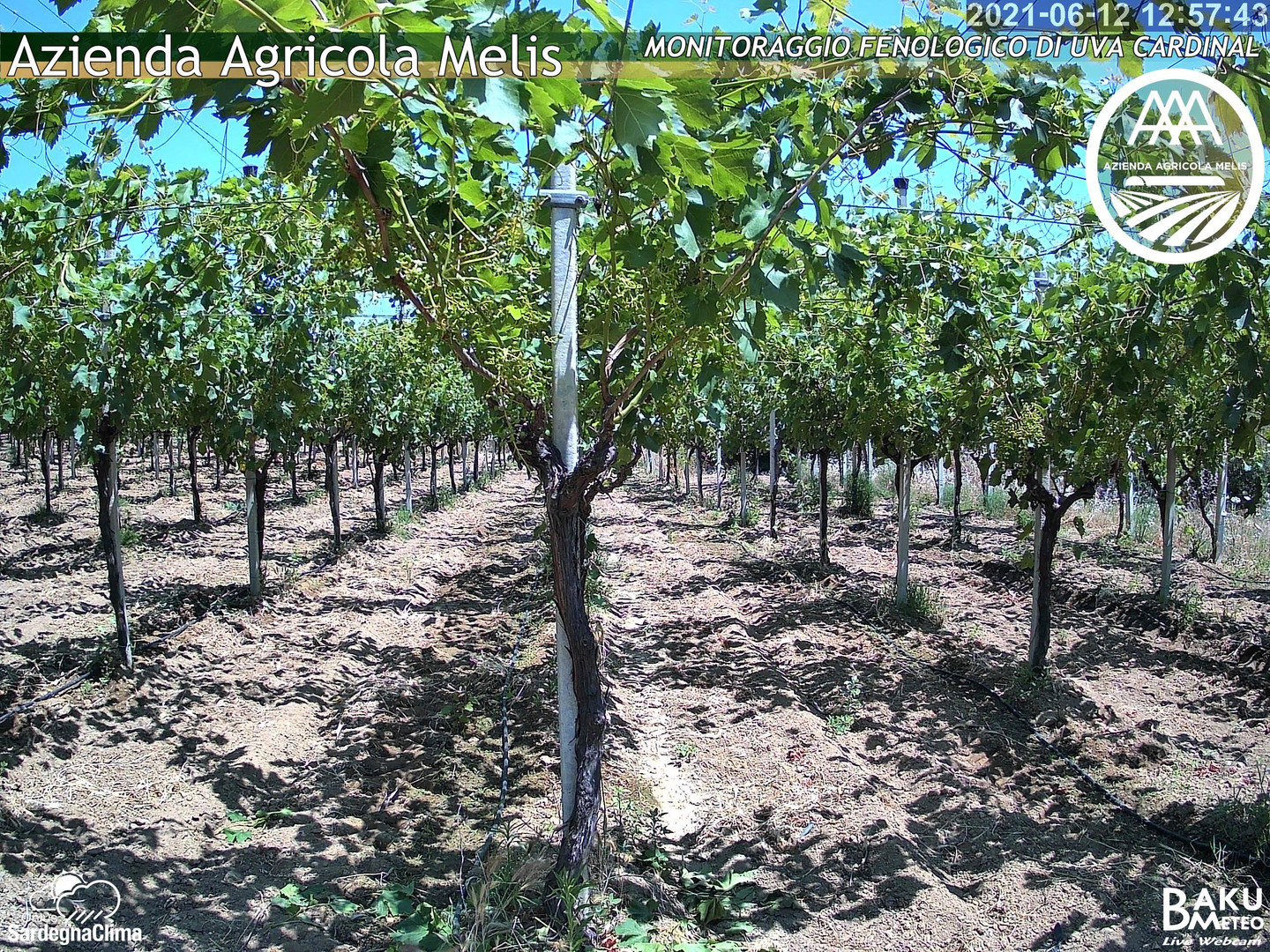 time-lapse frame,  webcam
