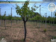 view from Bari Sardo - Fenologica on 2025-05-03