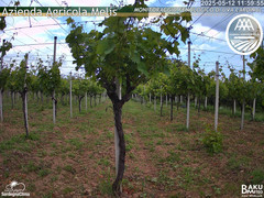 view from Bari Sardo - Fenologica on 2025-05-12
