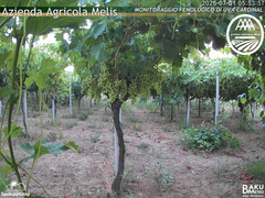view from Bari Sardo - Fenologica on 2025-07-01