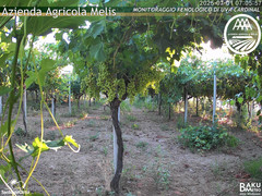 view from Bari Sardo - Fenologica on 2025-07-01