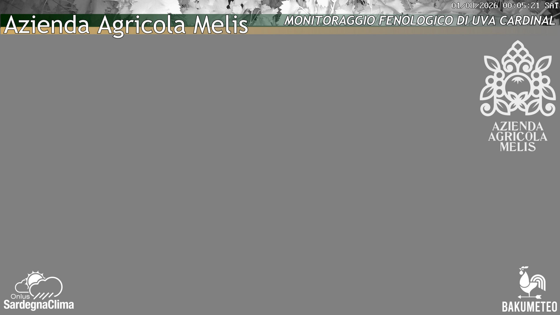 time-lapse frame, Bari Sardo - Fenologica webcam