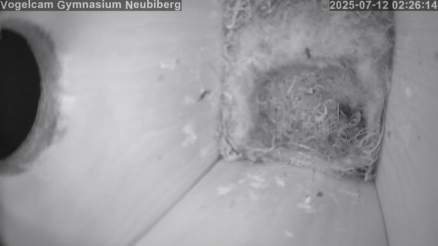 time-lapse frame, Vogelcam Gymnasium Neubiberg webcam