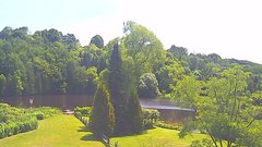 view from YardCam on 2025-07-04