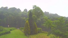 view from YardCam on 2025-07-07
