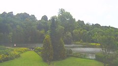 view from YardCam on 2026-08-23