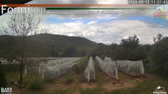 view from Fonni Meleto on 2025-05-12