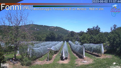 view from Fonni Meleto on 2025-06-02