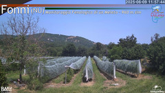 view from Fonni Meleto on 2025-06-09