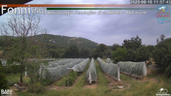 view from Fonni Meleto on 2025-06-16