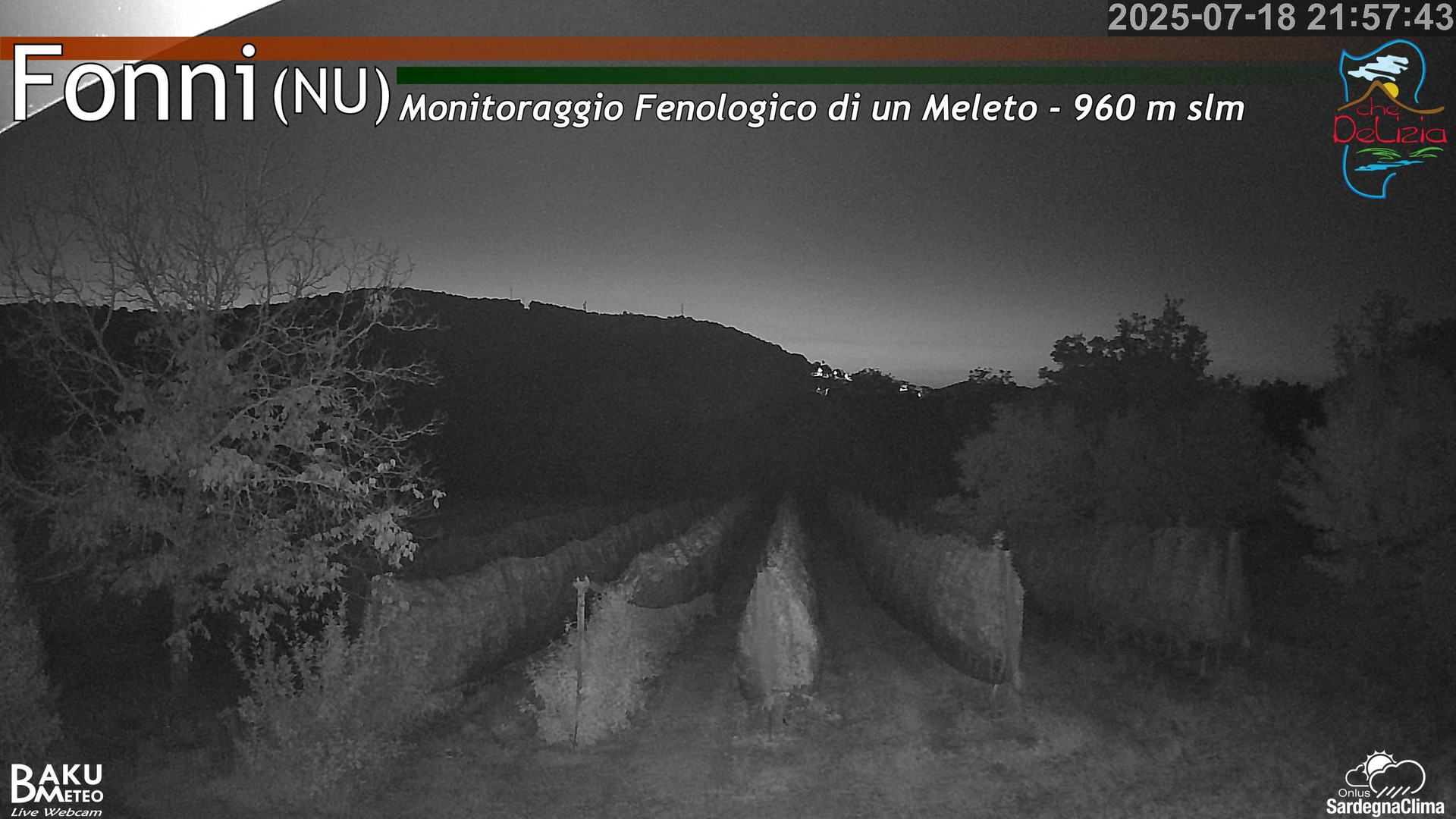 Fonni Meleto animated GIF
