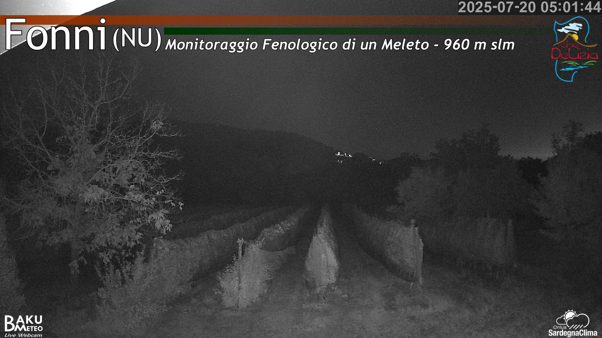 Fonni Meleto animated GIF