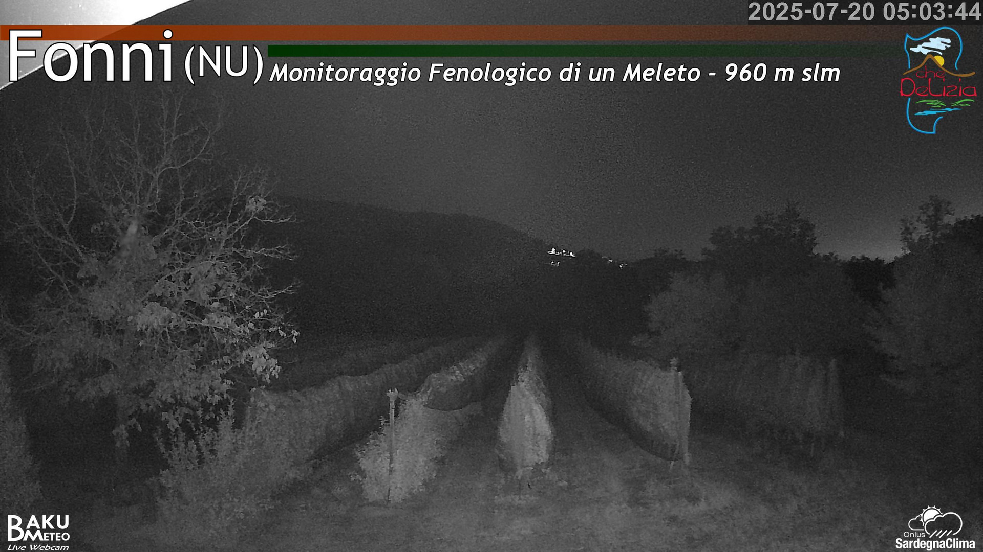 Fonni Meleto animated GIF