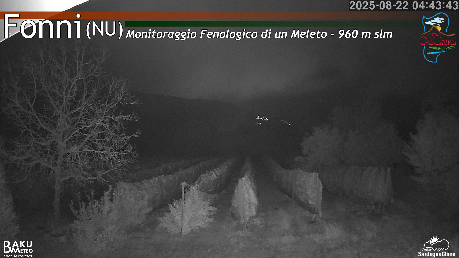 time-lapse frame, Fonni Meleto webcam