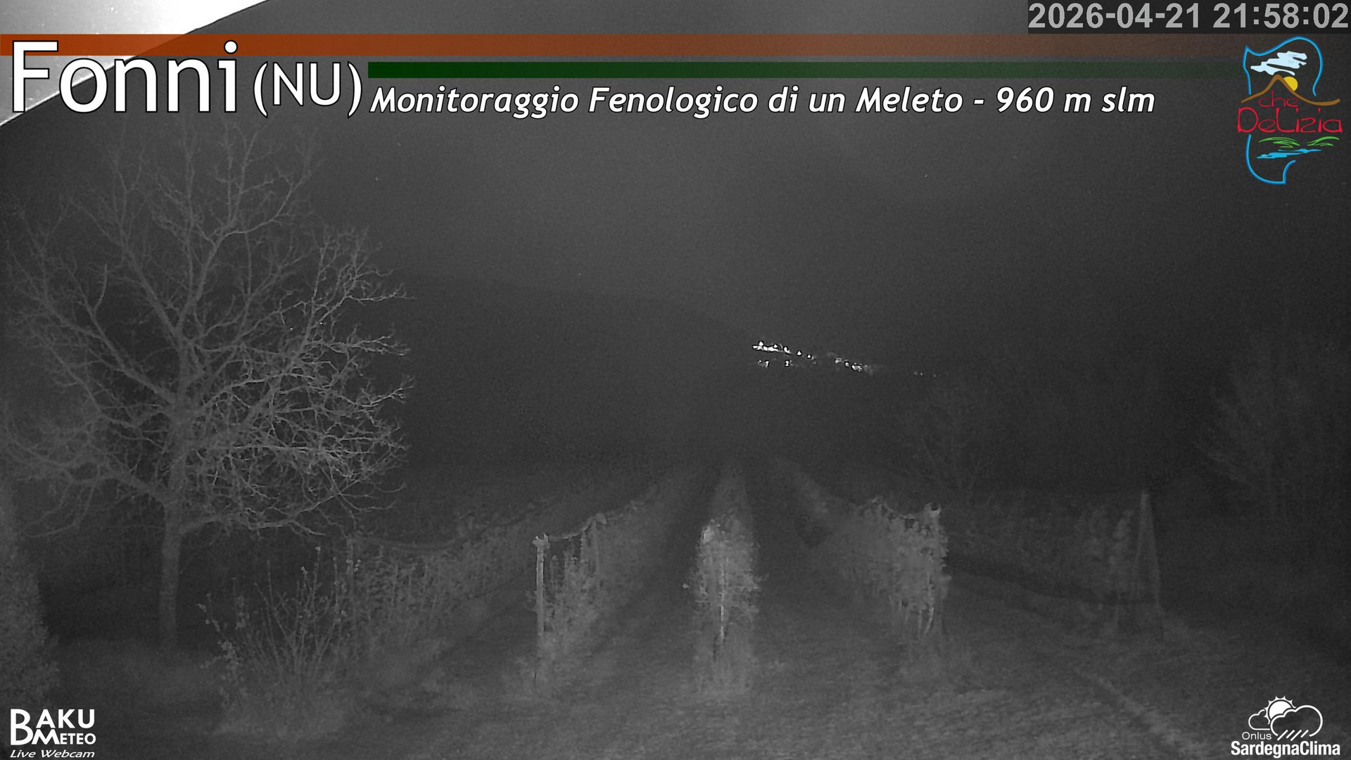 Fonni Meleto animated GIF