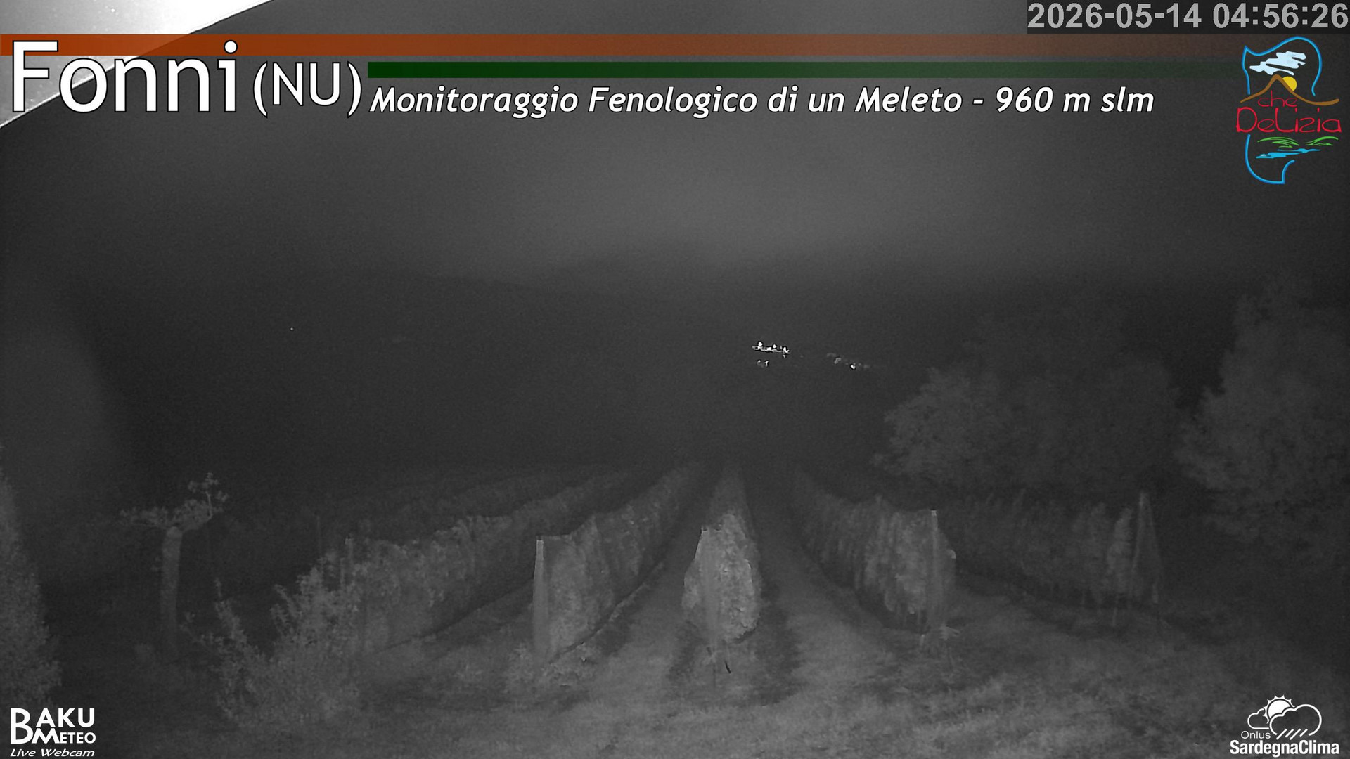 time-lapse frame, Fonni Meleto webcam