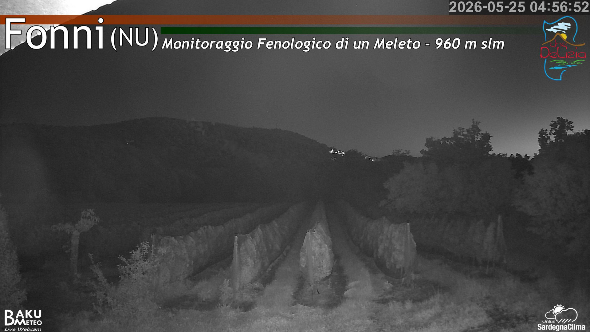 time-lapse frame, Fonni Meleto webcam