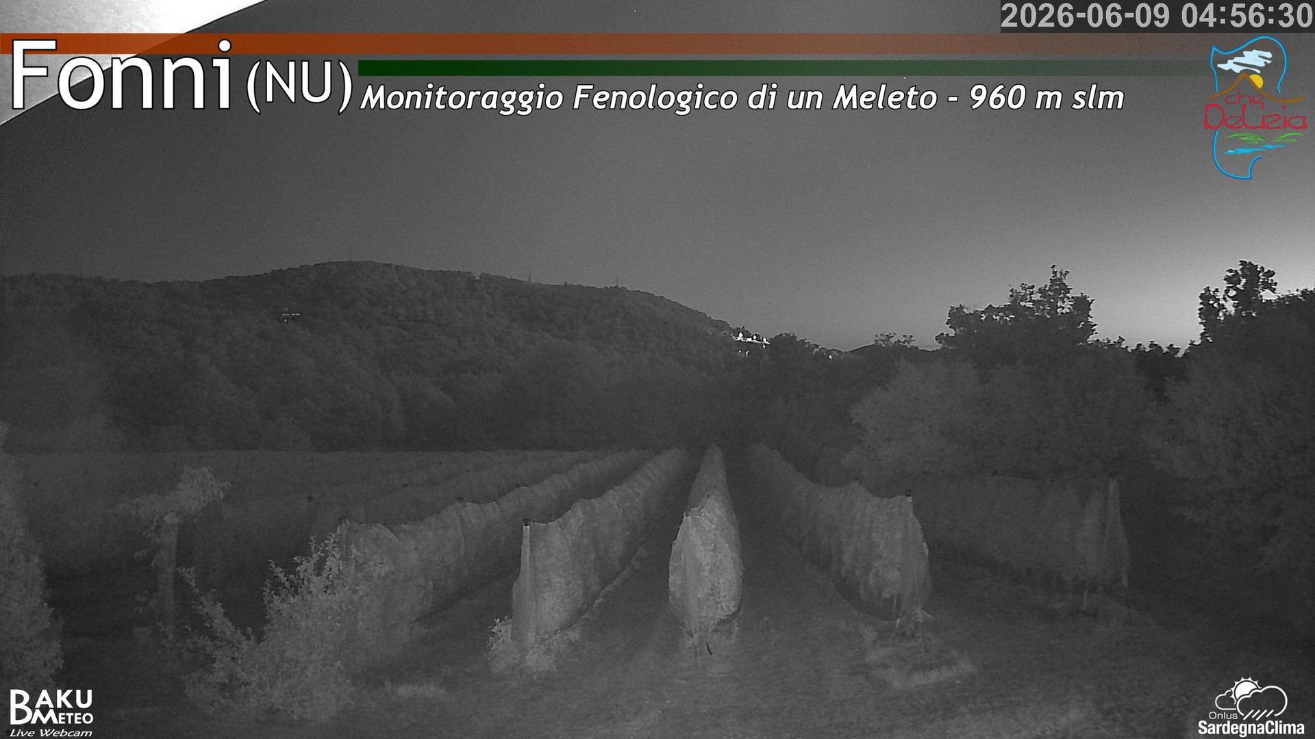 time-lapse frame, Fonni Meleto webcam