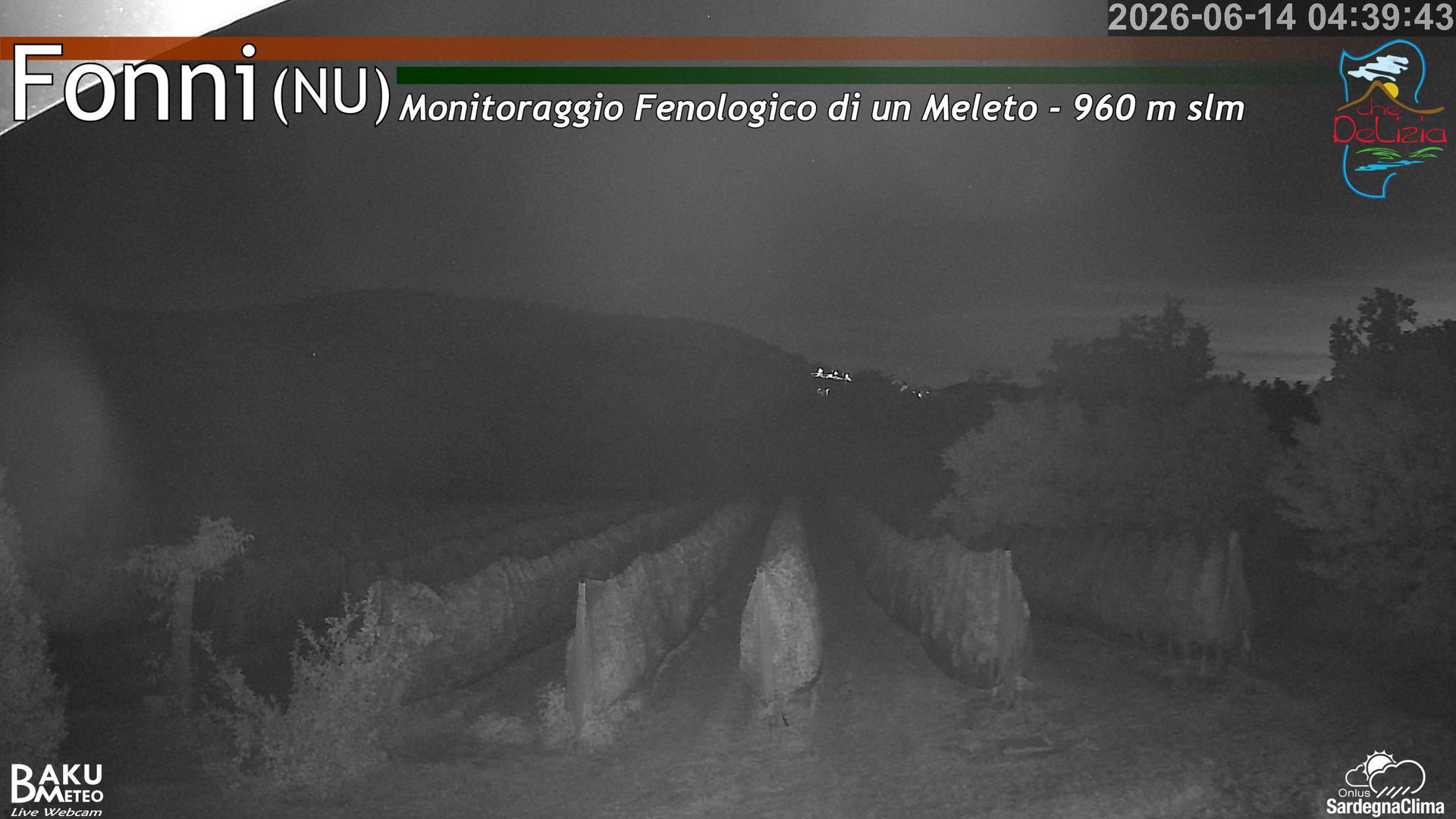 time-lapse frame, Fonni Meleto webcam