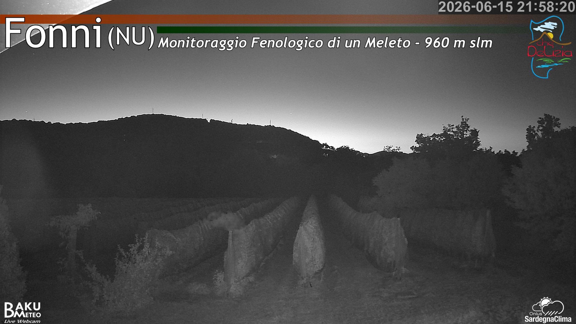 Fonni Meleto animated GIF