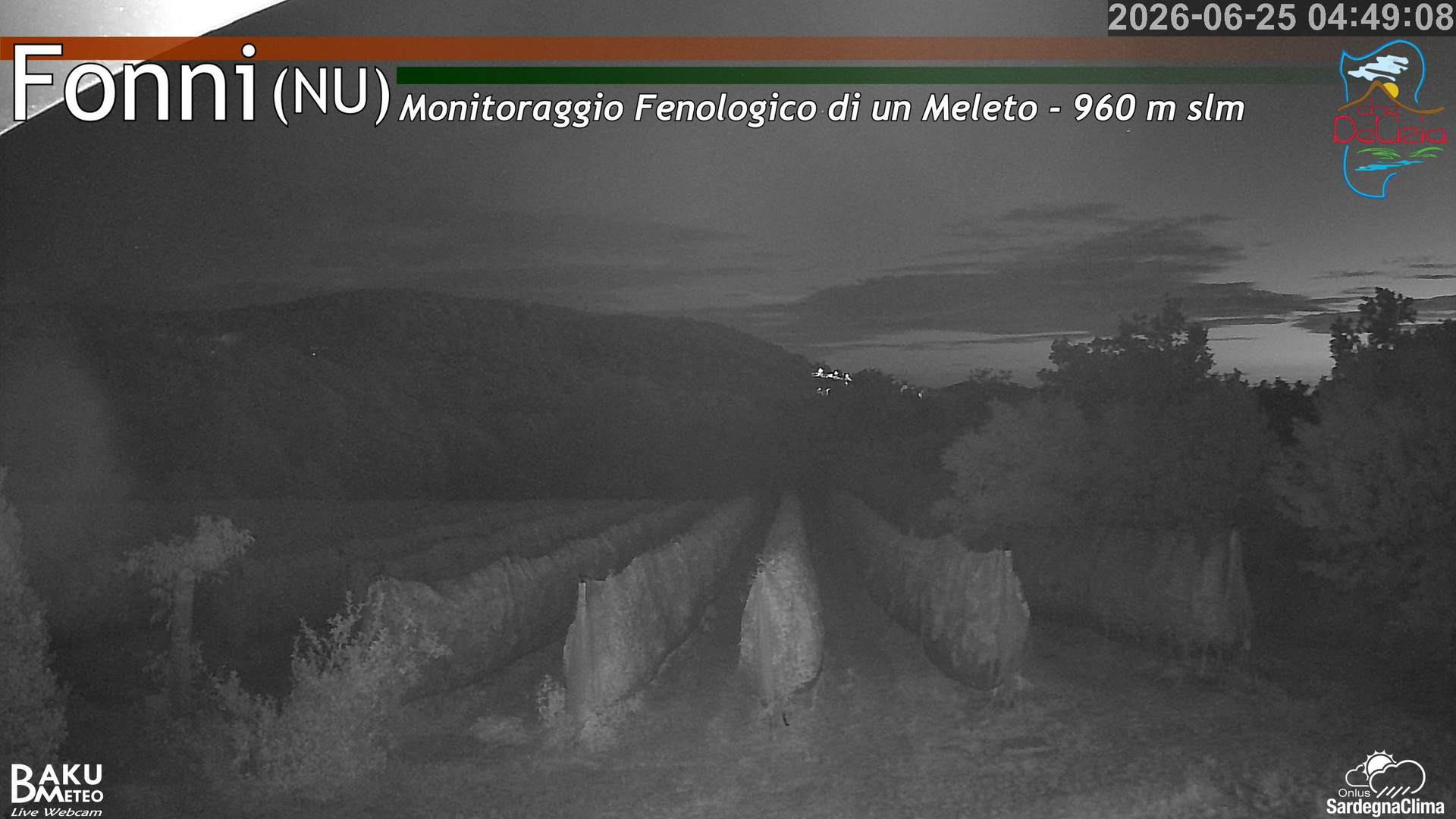 time-lapse frame, Fonni Meleto webcam