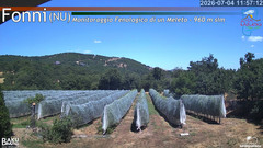 view from Fonni Meleto on 2026-07-04