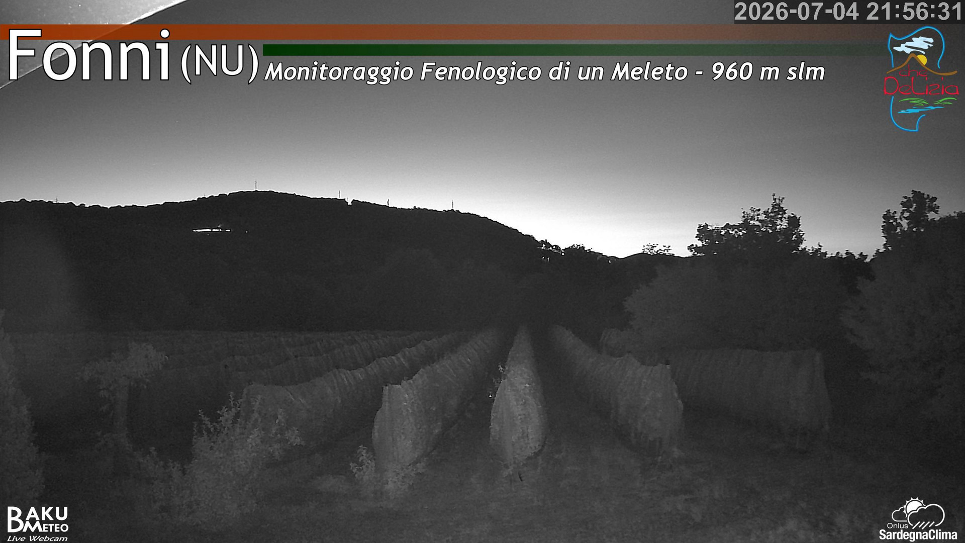 Fonni Meleto animated GIF