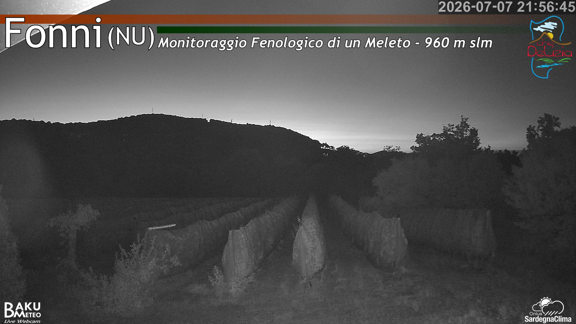 Fonni Meleto animated GIF