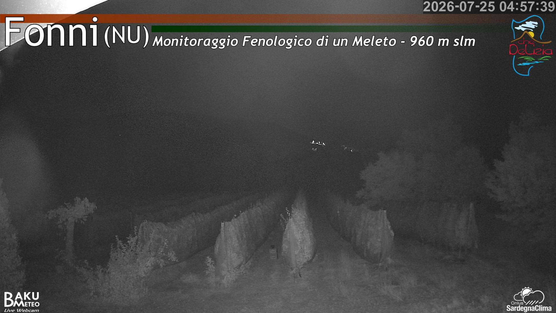 time-lapse frame, Fonni Meleto webcam