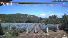 view from Fonni Meleto on 2026-08-25