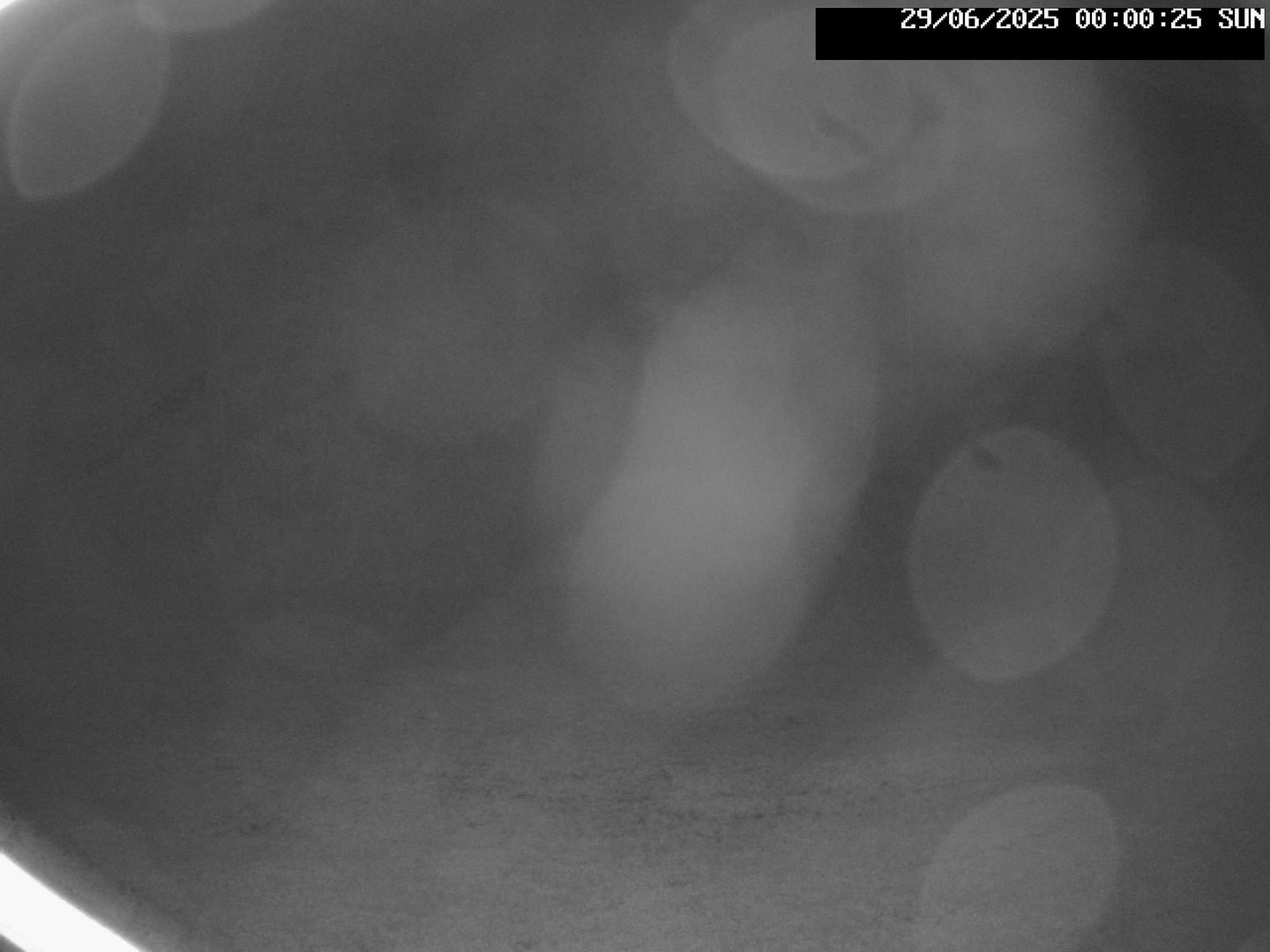 time-lapse frame, Stadium.Cam webcam