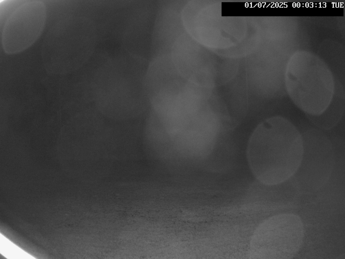 time-lapse frame, Stadium.Cam webcam