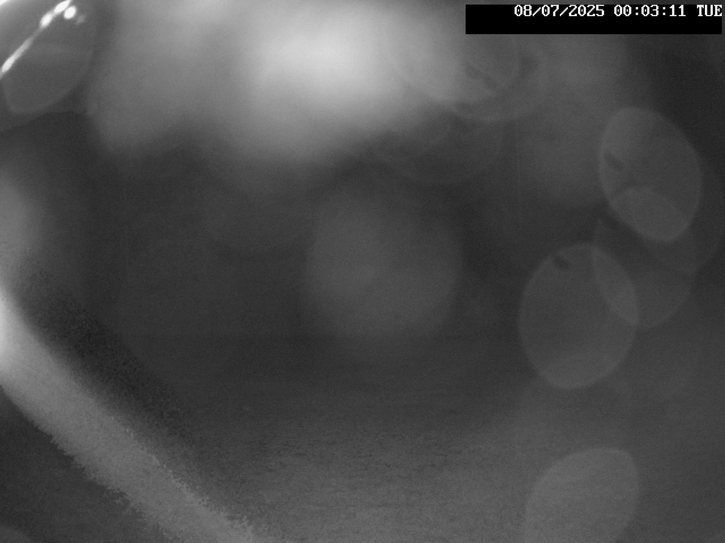 time-lapse frame, Stadium.Cam webcam
