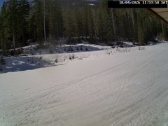 view from Stadium.Cam on 2026-04-18