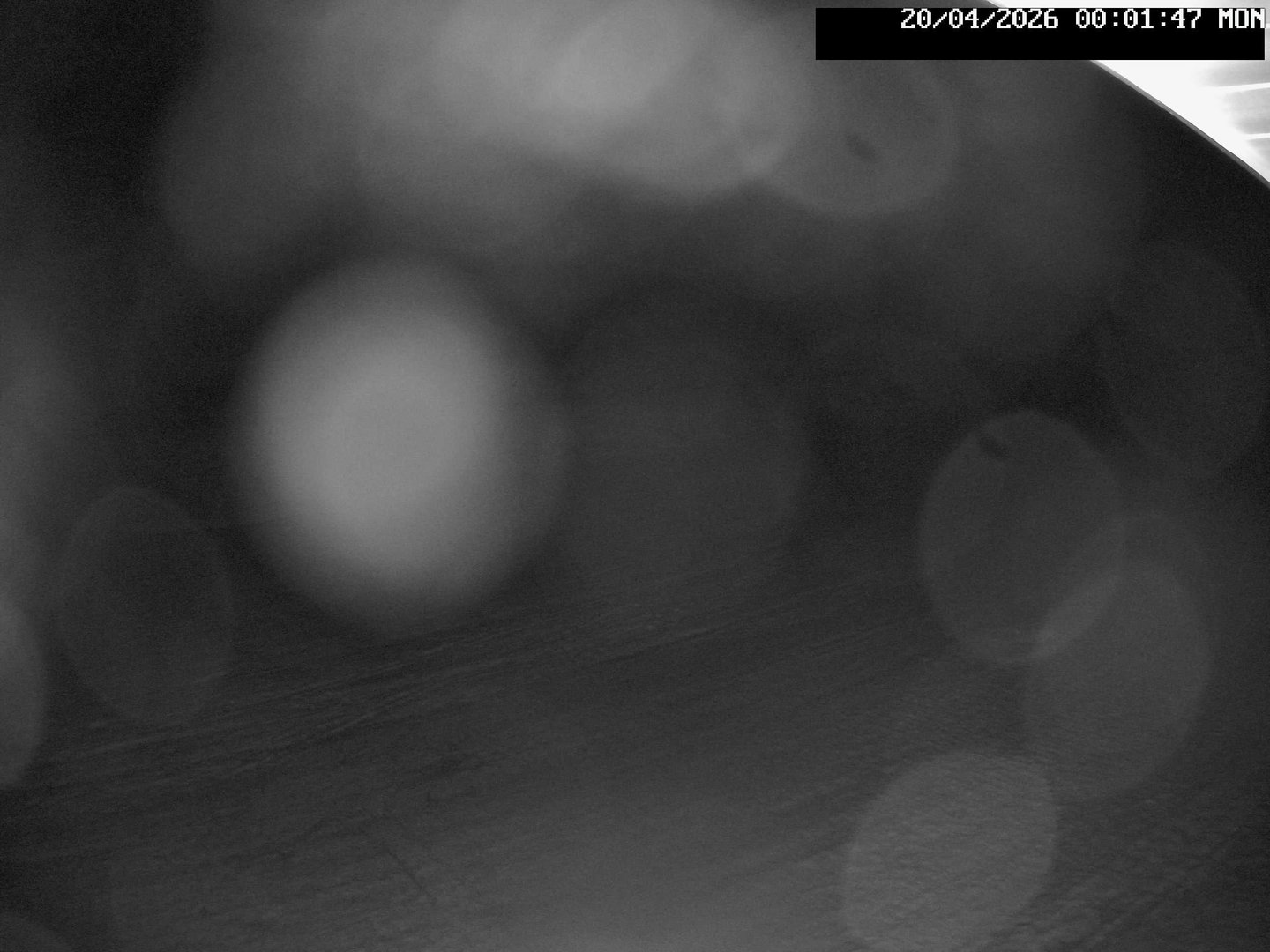 time-lapse frame, Stadium.Cam webcam