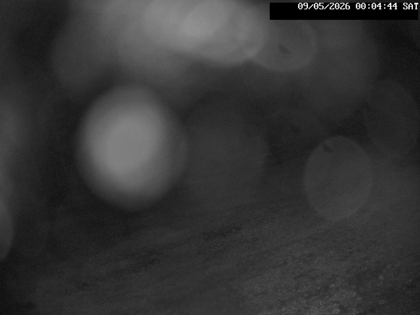 time-lapse frame, Stadium.Cam webcam