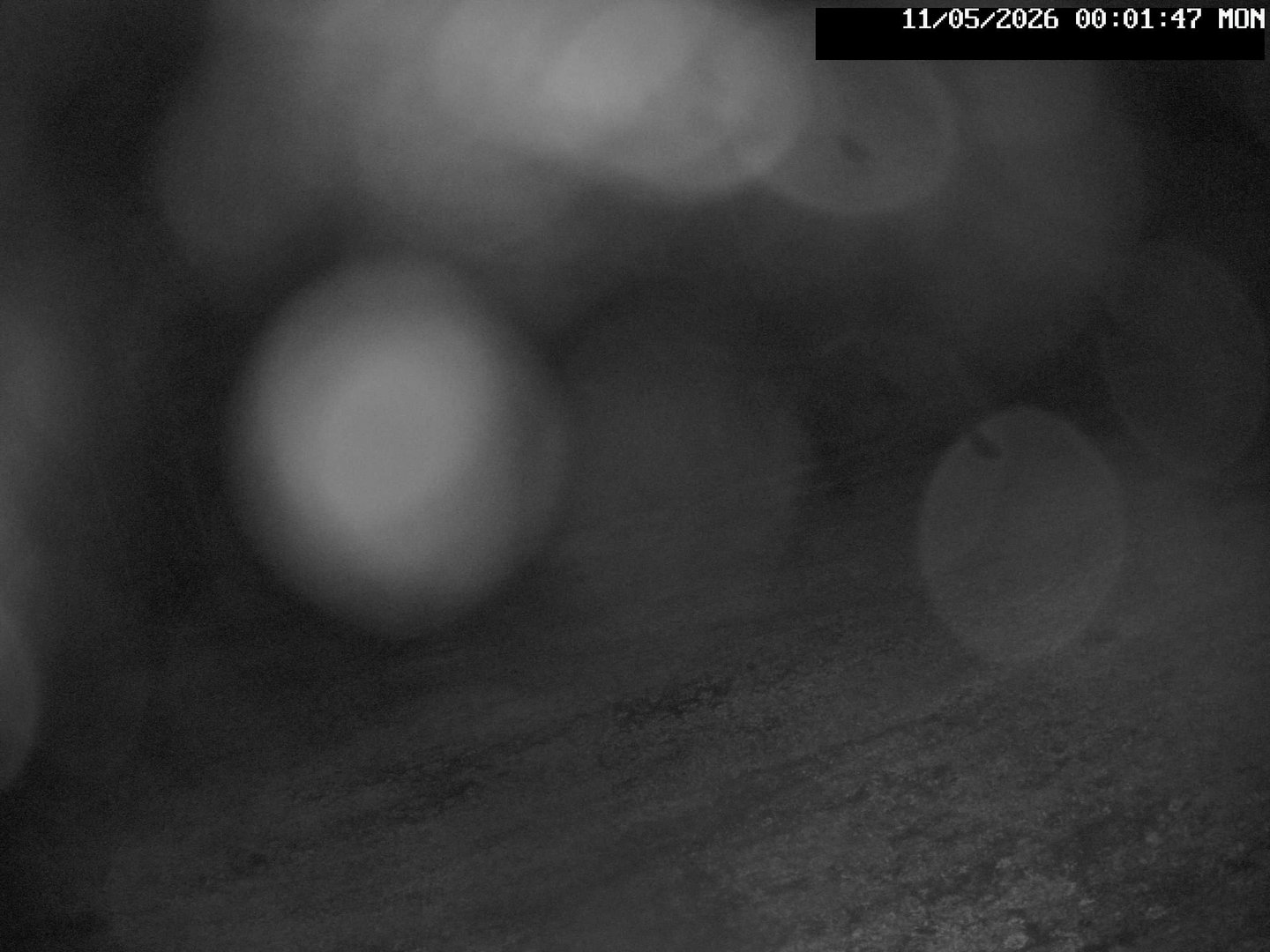 time-lapse frame, Stadium.Cam webcam