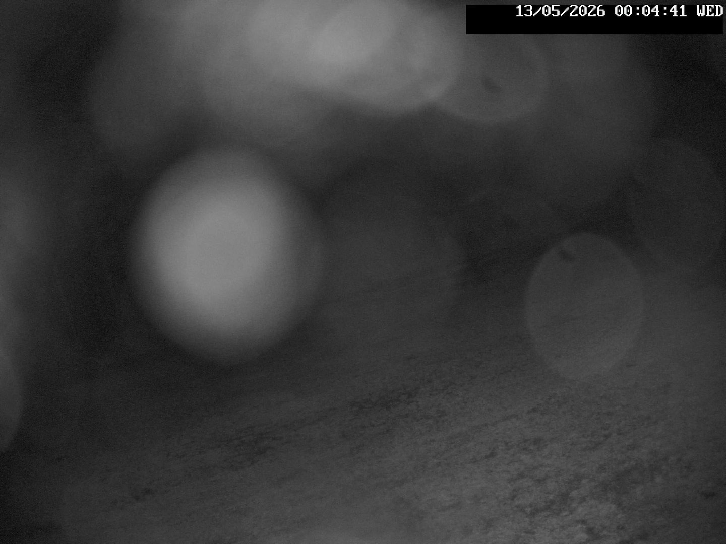 time-lapse frame, Stadium.Cam webcam