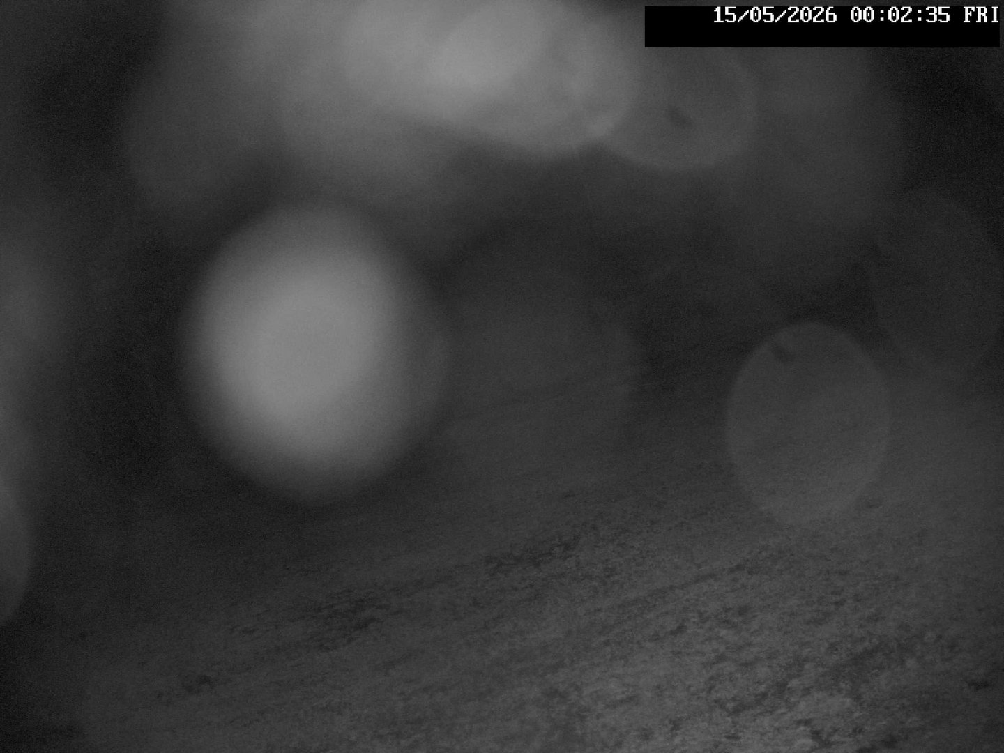 time-lapse frame, Stadium.Cam webcam