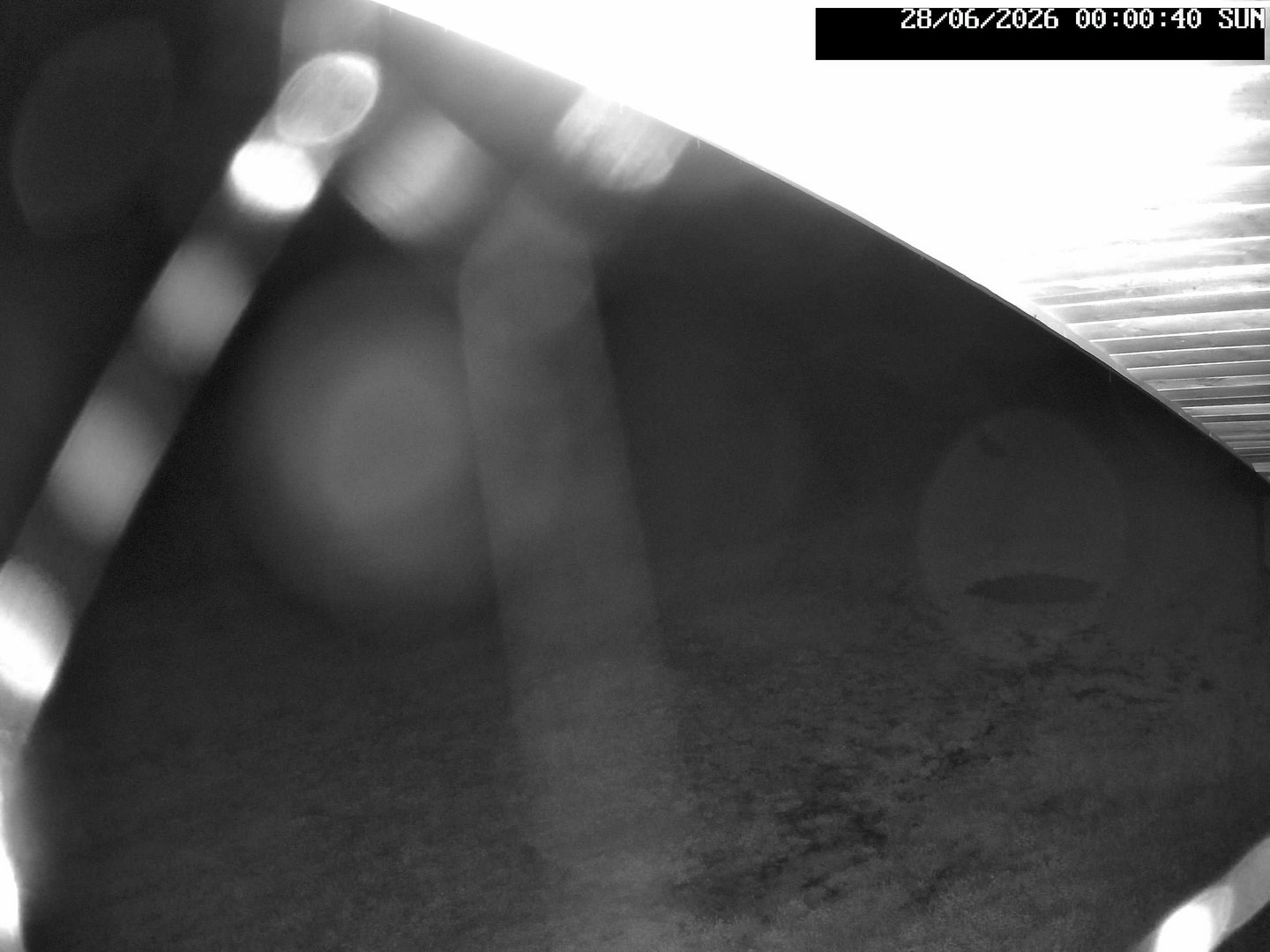 time-lapse frame, Stadium.Cam webcam