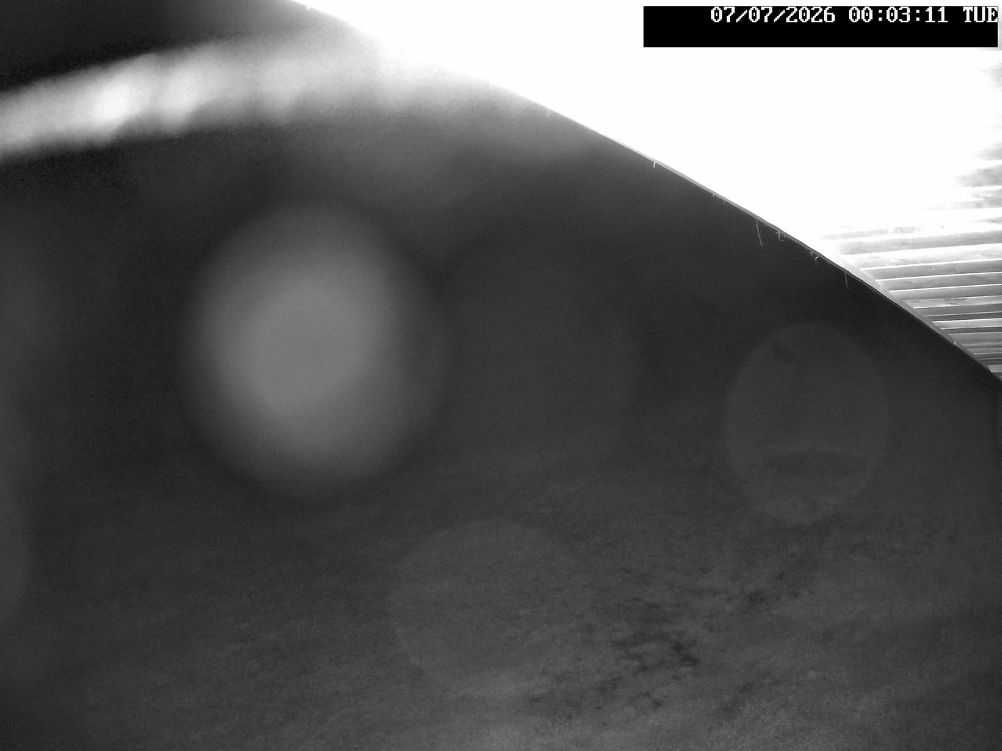 time-lapse frame, Stadium.Cam webcam