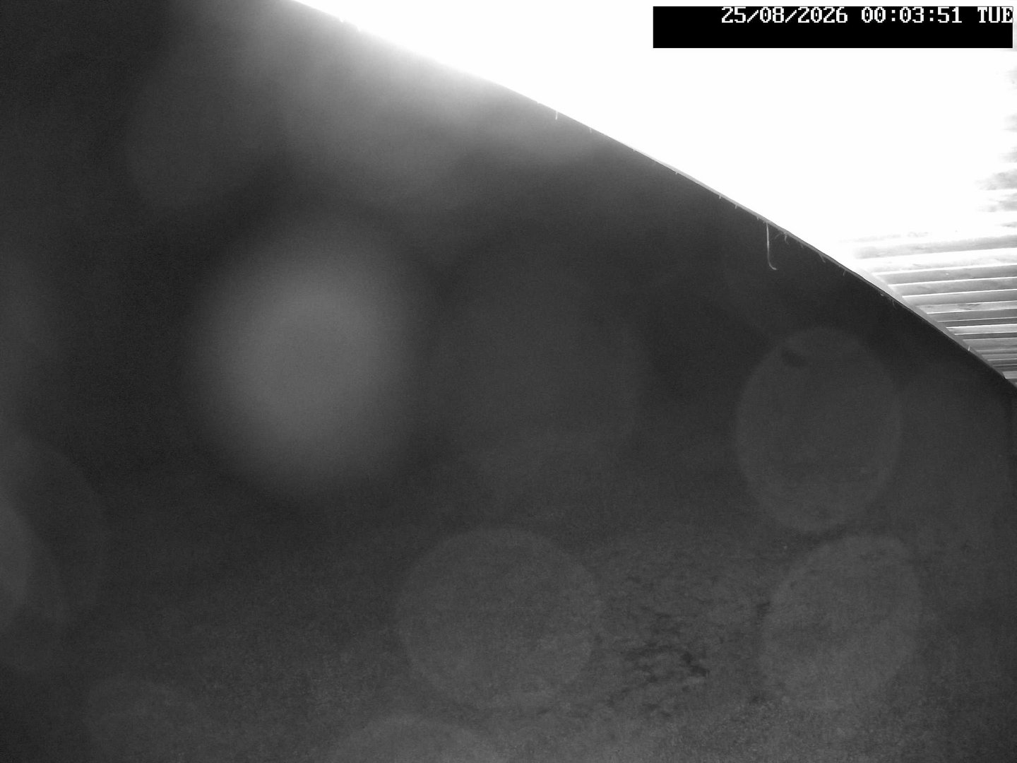 time-lapse frame, Stadium.Cam webcam