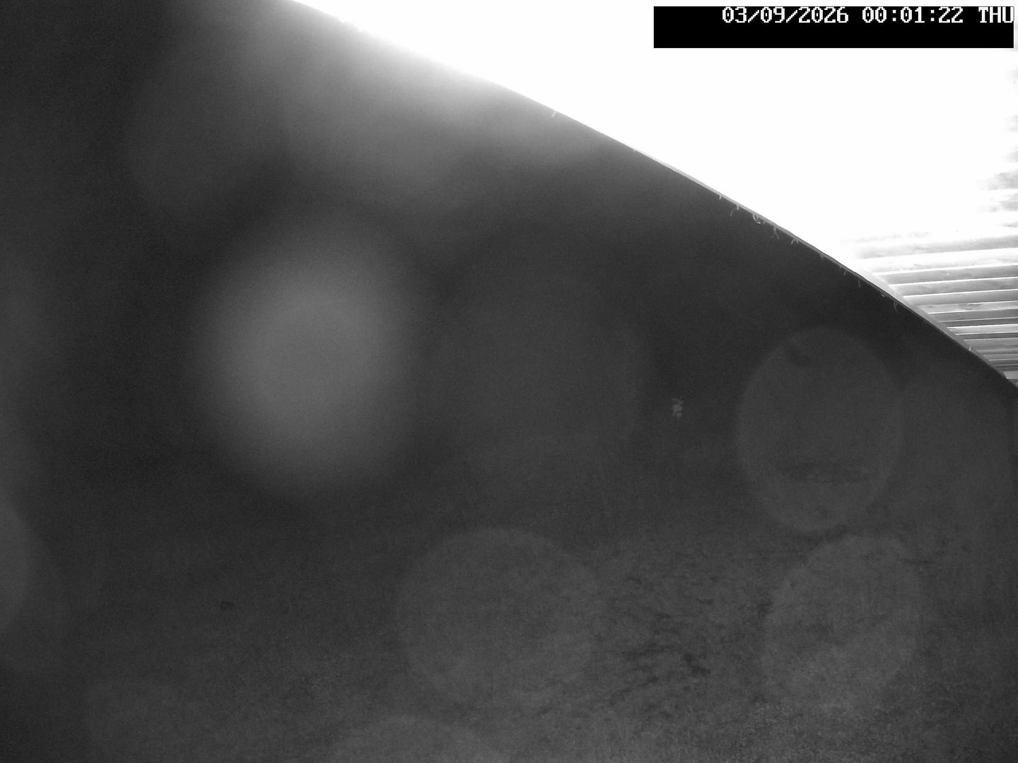 time-lapse frame, Stadium.Cam webcam