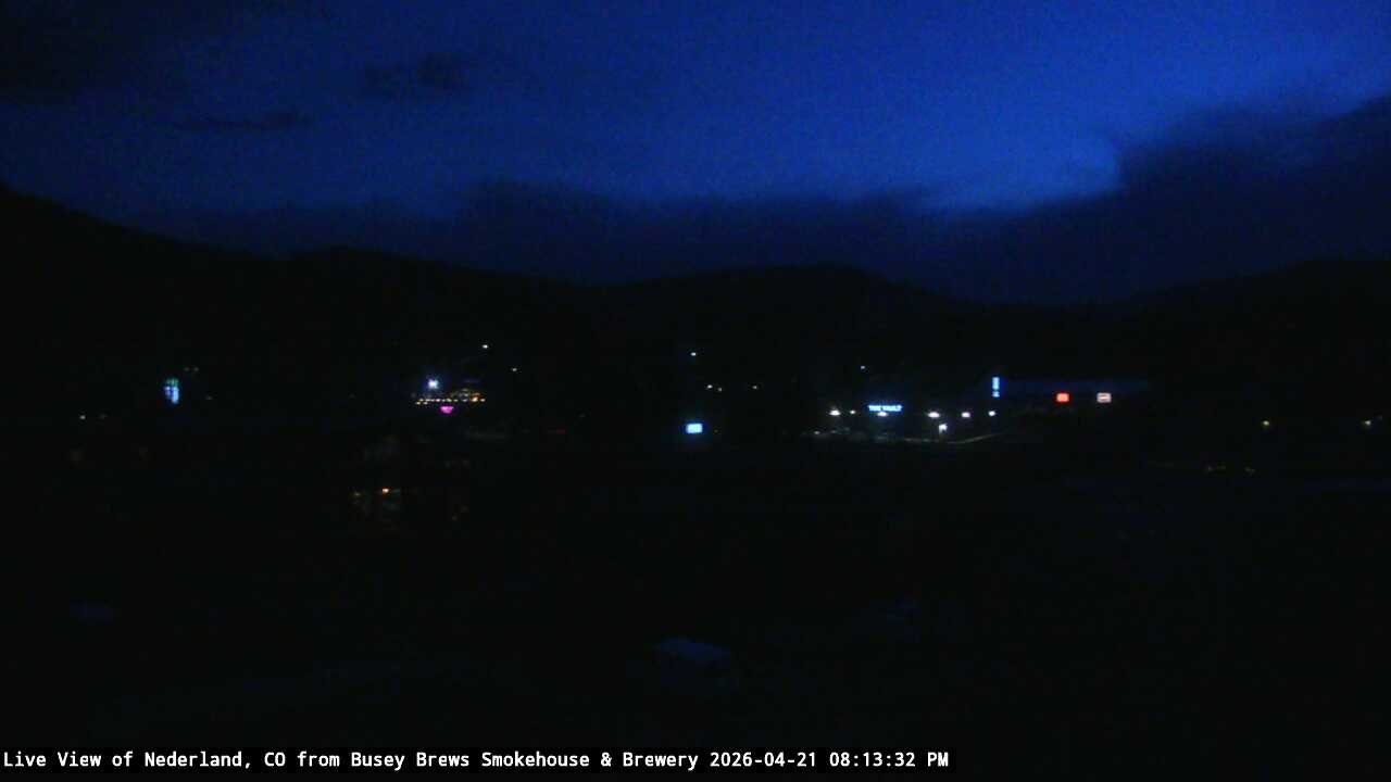 Busey Brews Neder... animated GIF